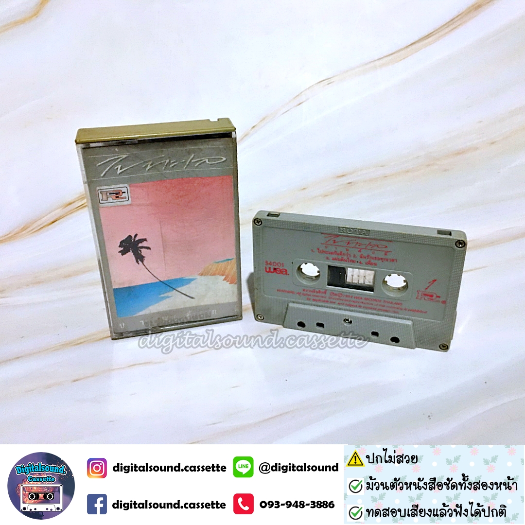 ⚠️ปกไม่สวย เทปเพลง เทปคาสเซ็ท ปานศักดิ์ รังสิพราหมณกุล อัลบั้ม ไปทะเล