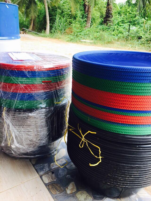 ชุดกะละมังเลี้ยงเบอร์ 50 พร้อมฝาปิด (ชุด)
