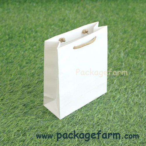 ถุงกระดาษอาร์ตขาว เบอร์ 10 ขนาด 5" x 6" x 2"