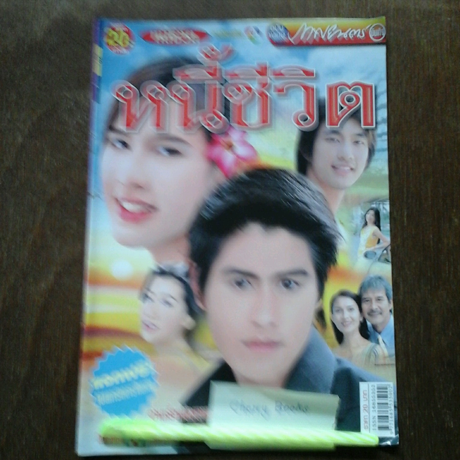 หนังสือเรื่องย่อละคร หนี้ชีวิต