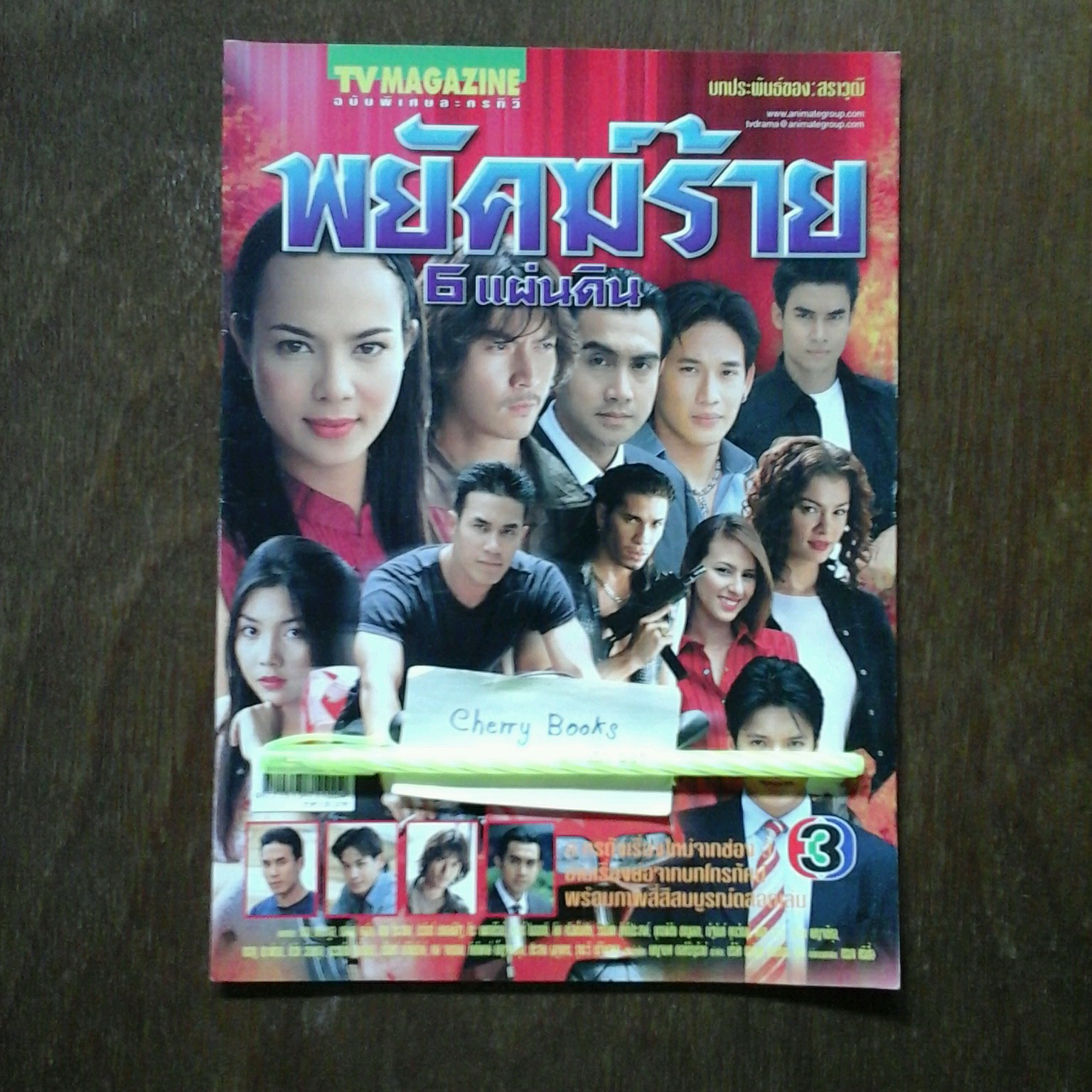 หนังสือเรื่องย่อละคร พยัคฆ์ร้าย 6 แผ่นดิน