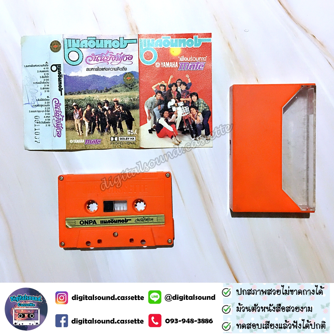 เทปคาสเซ็ท แมคอินทอช McIntosh อัลบั้ม วันนี้ยังมีเธอ