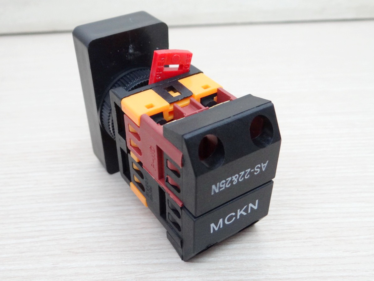 AS-22N Double Pushbuttons Switch With (220V Lamp) 10A/600V Start-stop (กดติด-ปล่อยดับ)