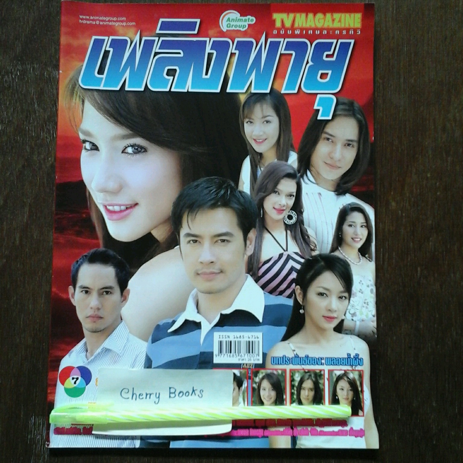 *หมด*หนังสือเรื่องย่อละคร เพลิงพายุ