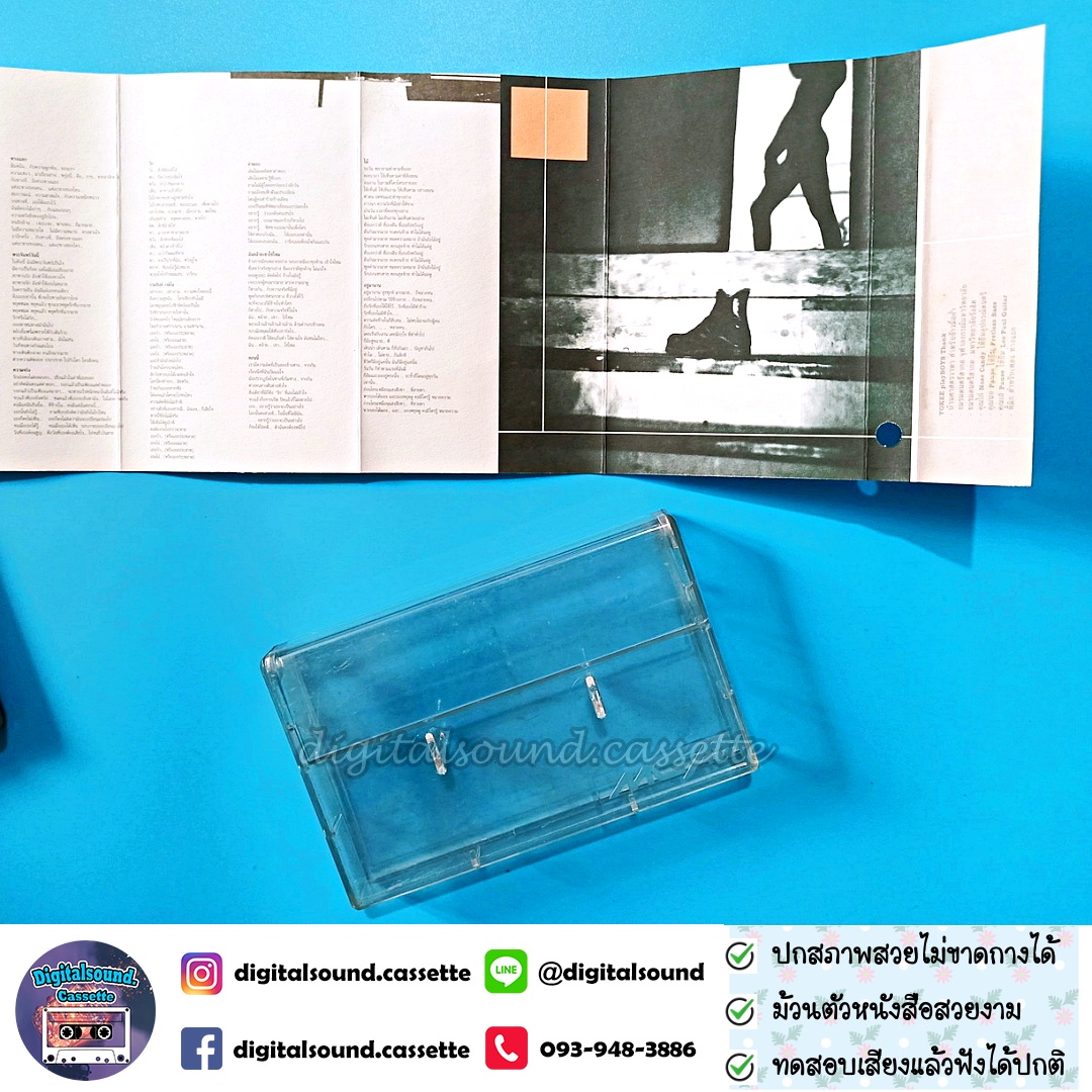 เทปเพลง เทปคาสเซ็ท โยคีเพลย์บอย Yokee Playboy อัลบั้ม Yokee Playboys ม้วน Sample