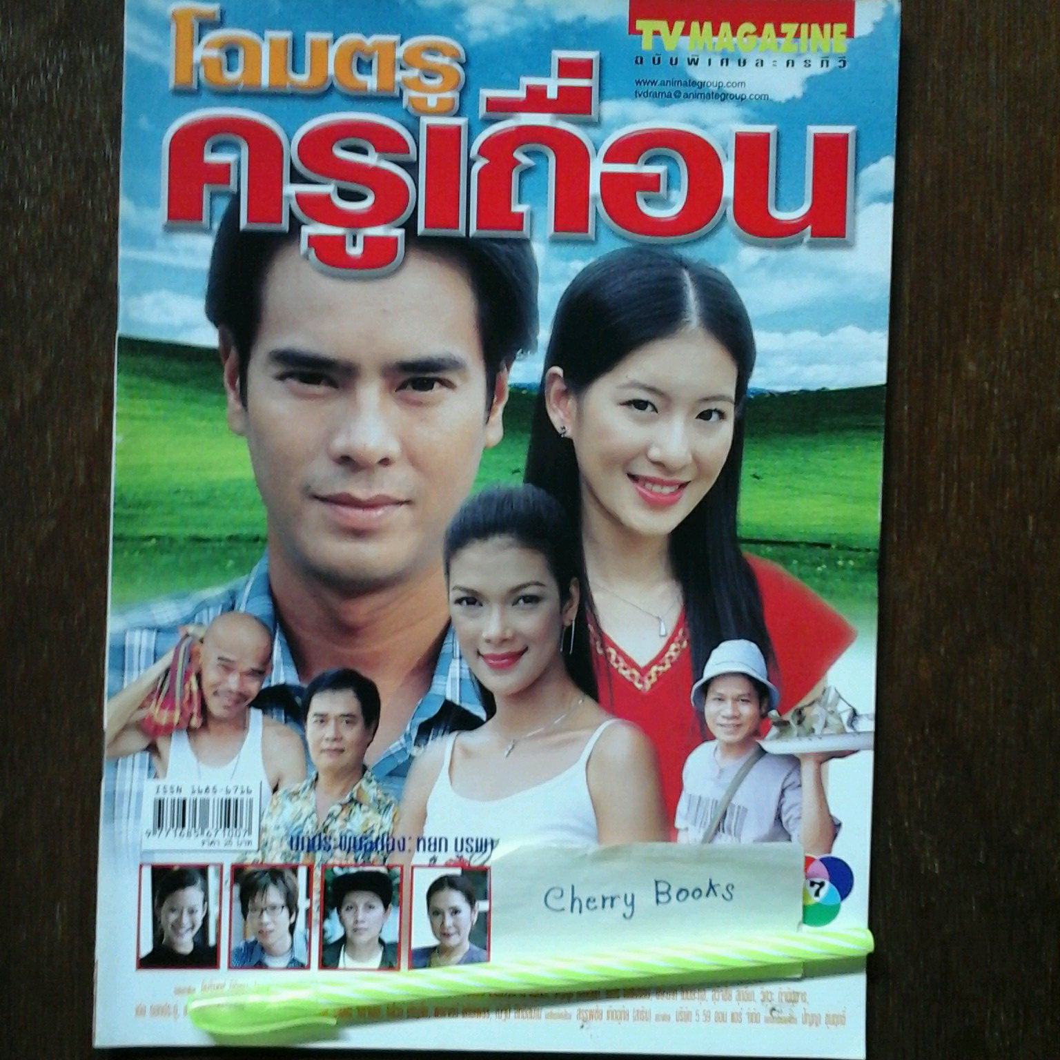 หนังสือเรื่องย่อละคร โฉมตรูครูเถื่อน