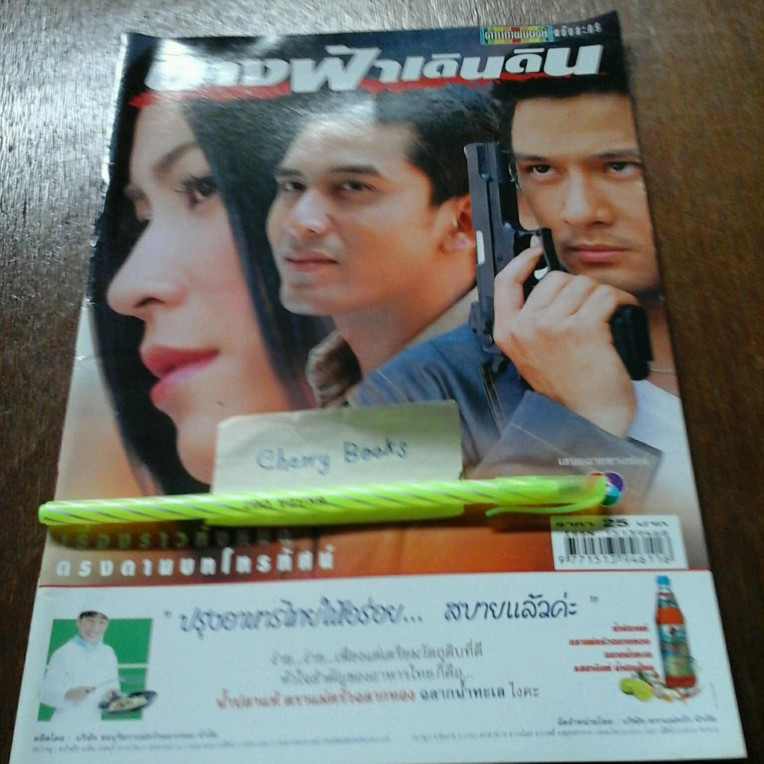 หนังสือเรื่องย่อละคร นางฟ้าเดินดิน