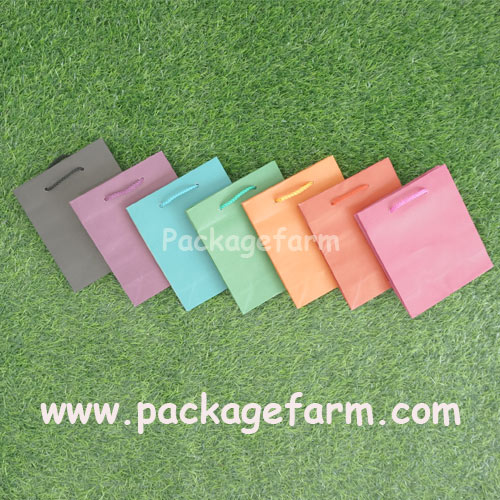 ถุงกระดาษสีเบอร์ 10 ขนาด 5" x 6" x 2"