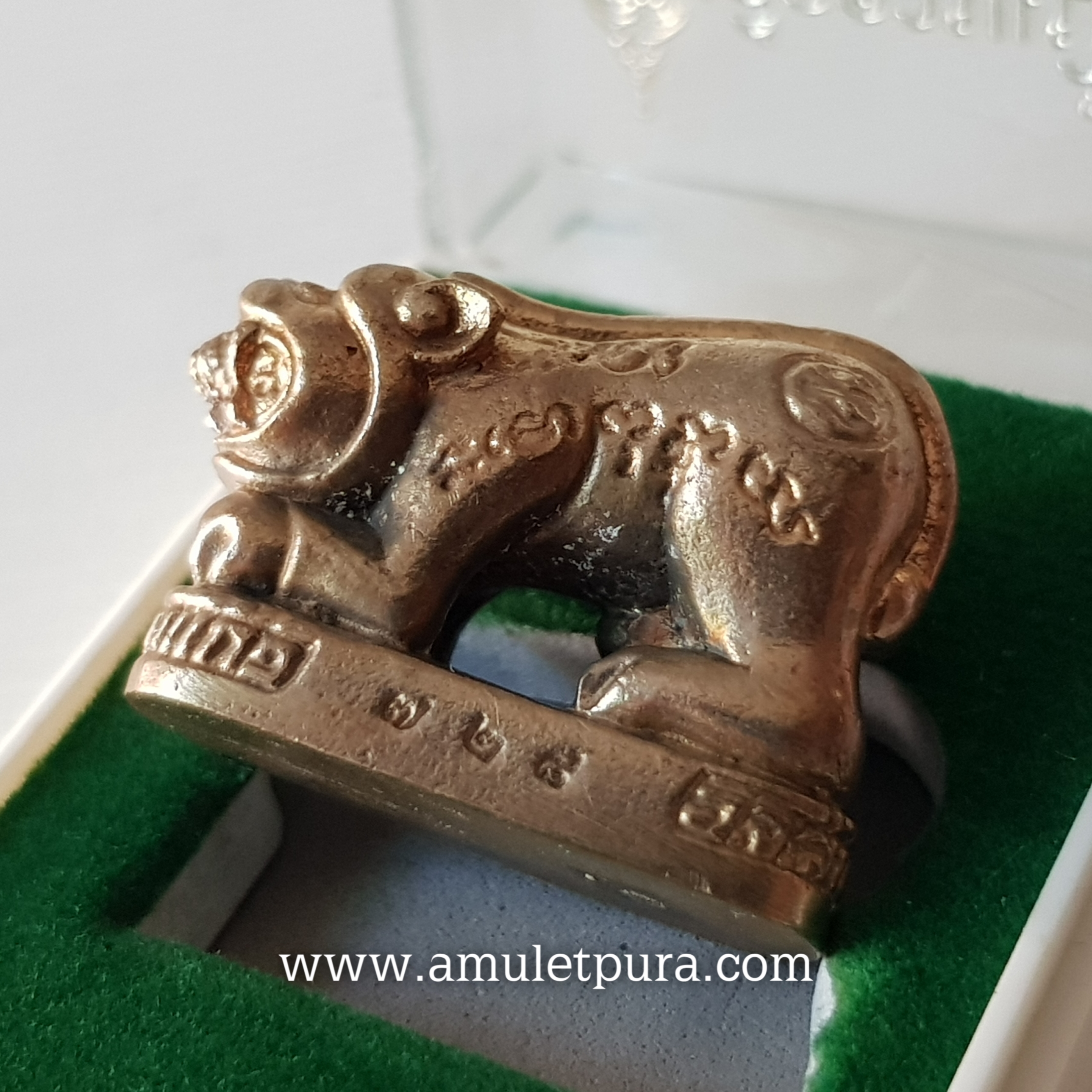 เสือคาบเบี้ย(ทองระฆัง)รุ่นเศรษฐีโภคทรัพย์ ปี56 หลวงพ่อสัญญา วัดกลางบางแก้ว จ.นครปฐม(มีโค้ด หมายเลข ๗๒๘)