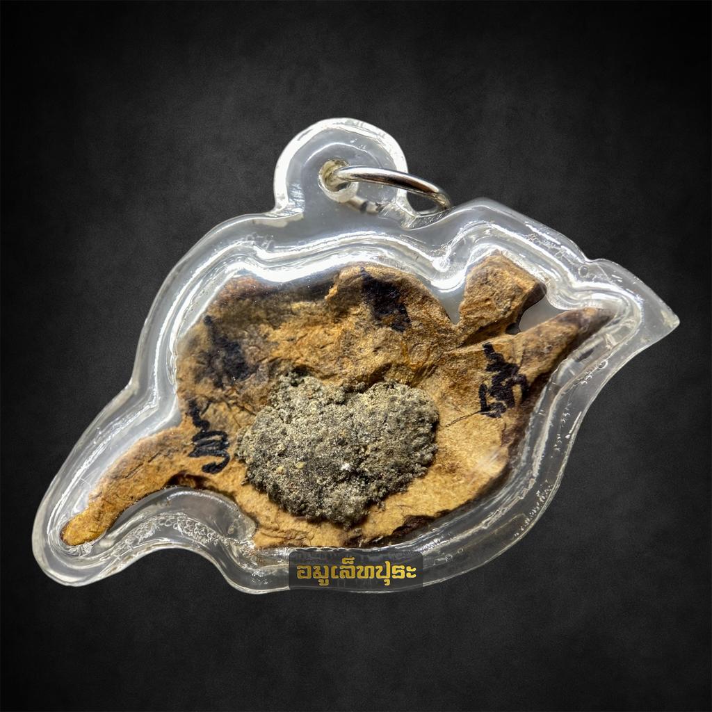 สาริกาเกี้ยว ปู่หมอนาค เพชรแสงแก้ว (สาริกาคู่ เนื้อไม้กาลาตาเดียว)