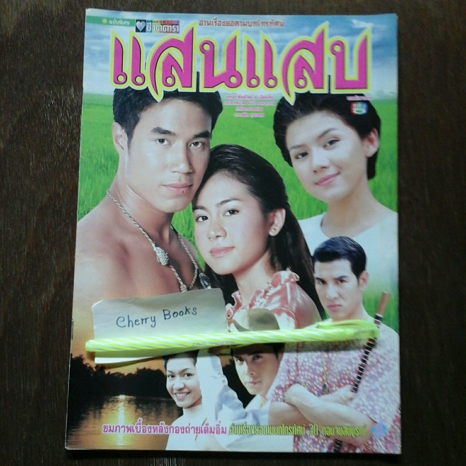 หนังสือเรื่องย่อละคร แสนแสบ