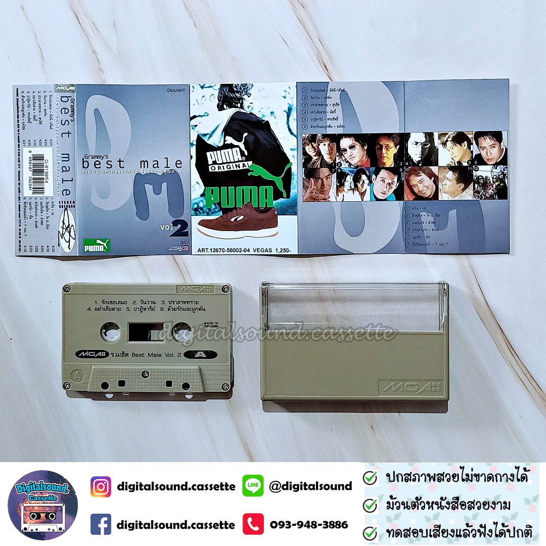 เทปคาสเซ็ท รวมศิลปิน GRAMMY อัลบั้ม BEST MALE VOL 2