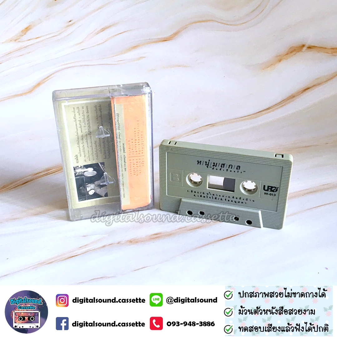 เทปคาสเซ็ท หนุ่มสกล อัลบั้ม ฝันที่เป็นจริง