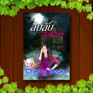 สืบลับสัมผัสรัก (เล่มเดียวจบ) / รุ่งแก้ว