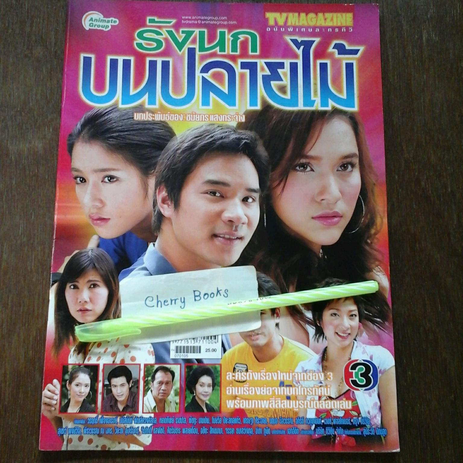 หนังสือเรื่องย่อละคร รังนกบนปลายไม้