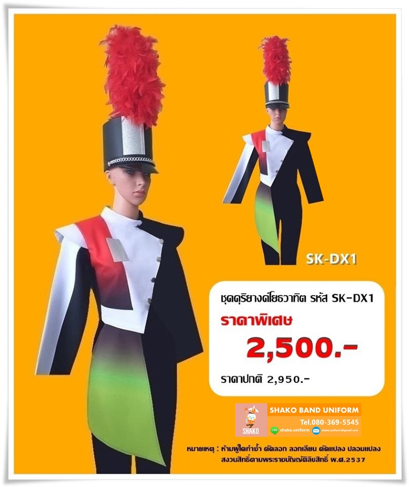 ชุดดุริยางค์ ชุดวงโยธวาทิต (แบบไล่โทนสี)