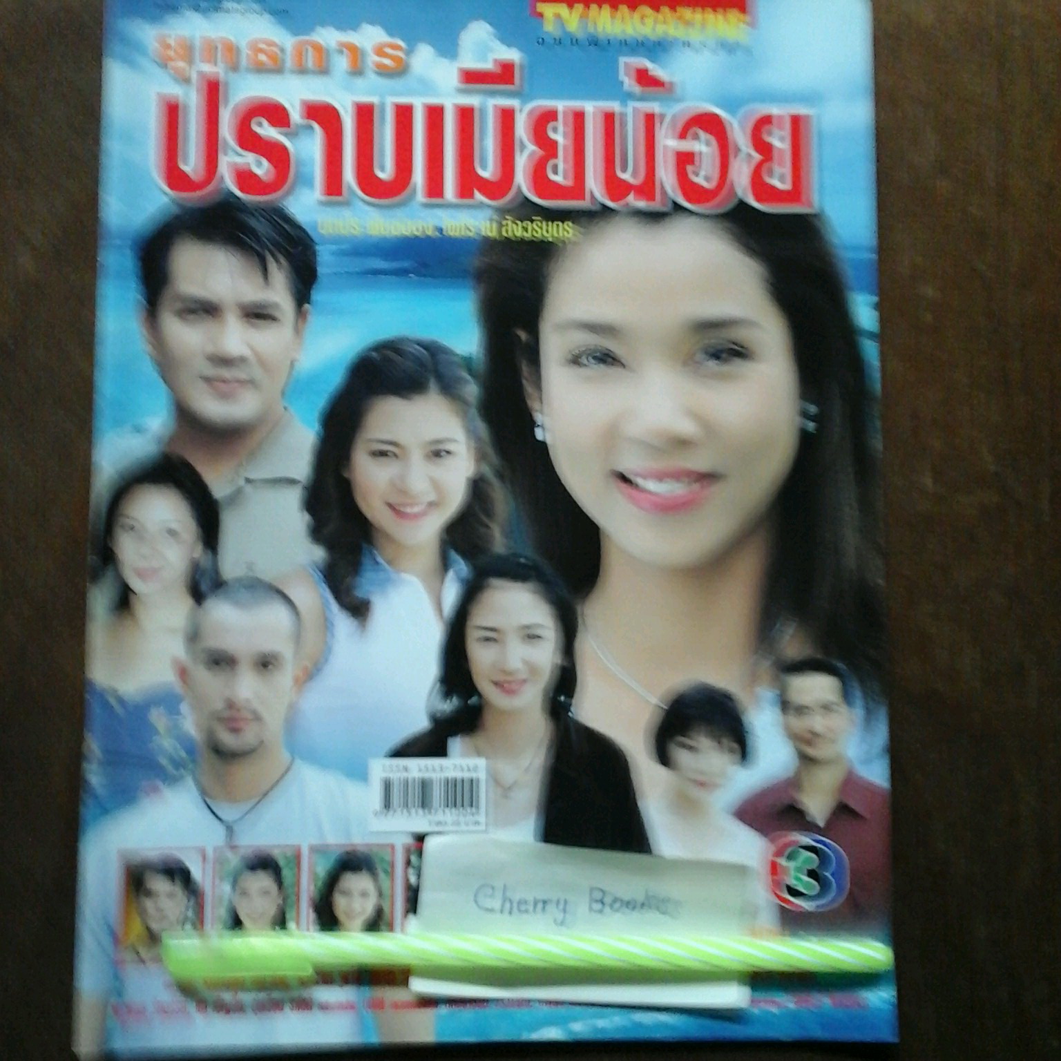 หนังสือเรื่องย่อละคร ยุทธการปราบเมียน้อย
