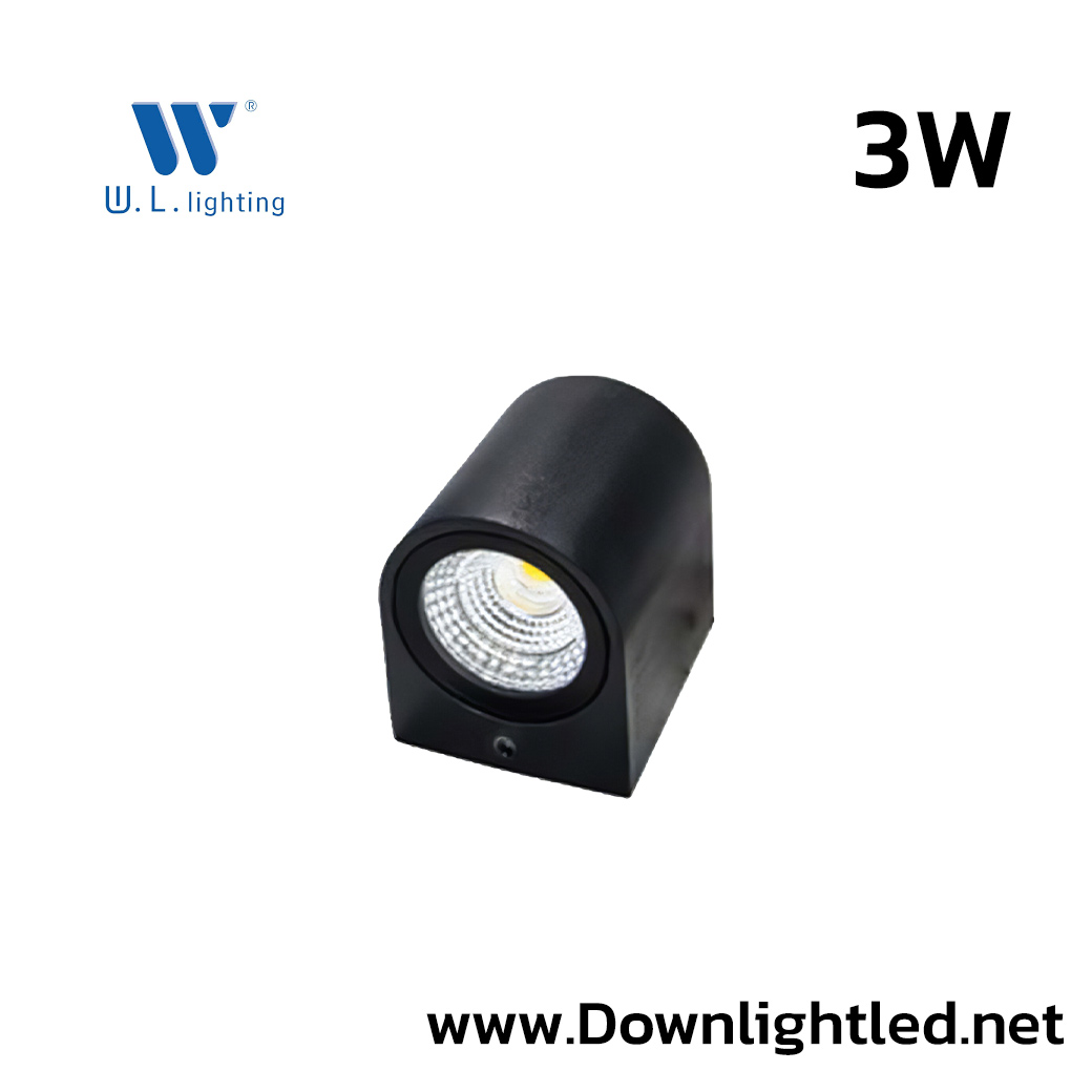 โคมไฟติดผนังภายนอก LED 3W W.L.LIGHTING WL-B11-1-3W-BK