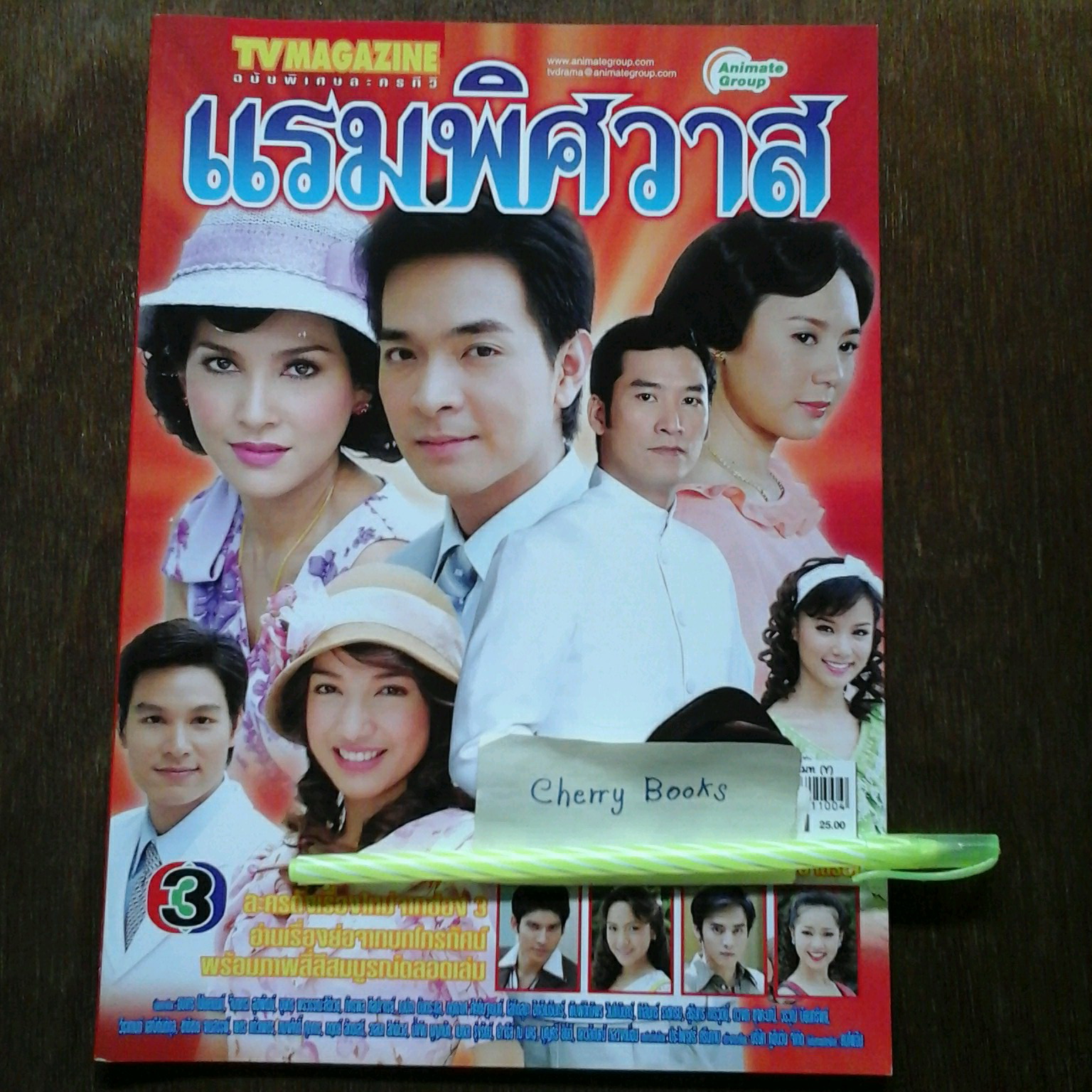 หนังสือเรื่องย่อละคร แรมพิศวาส