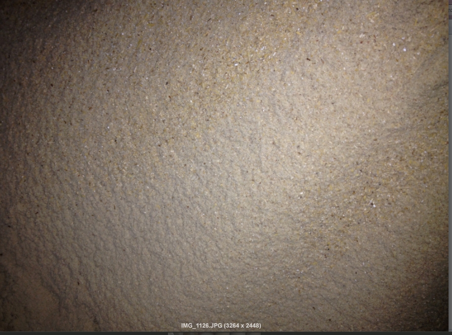 รำละเอียด(Rice bran)