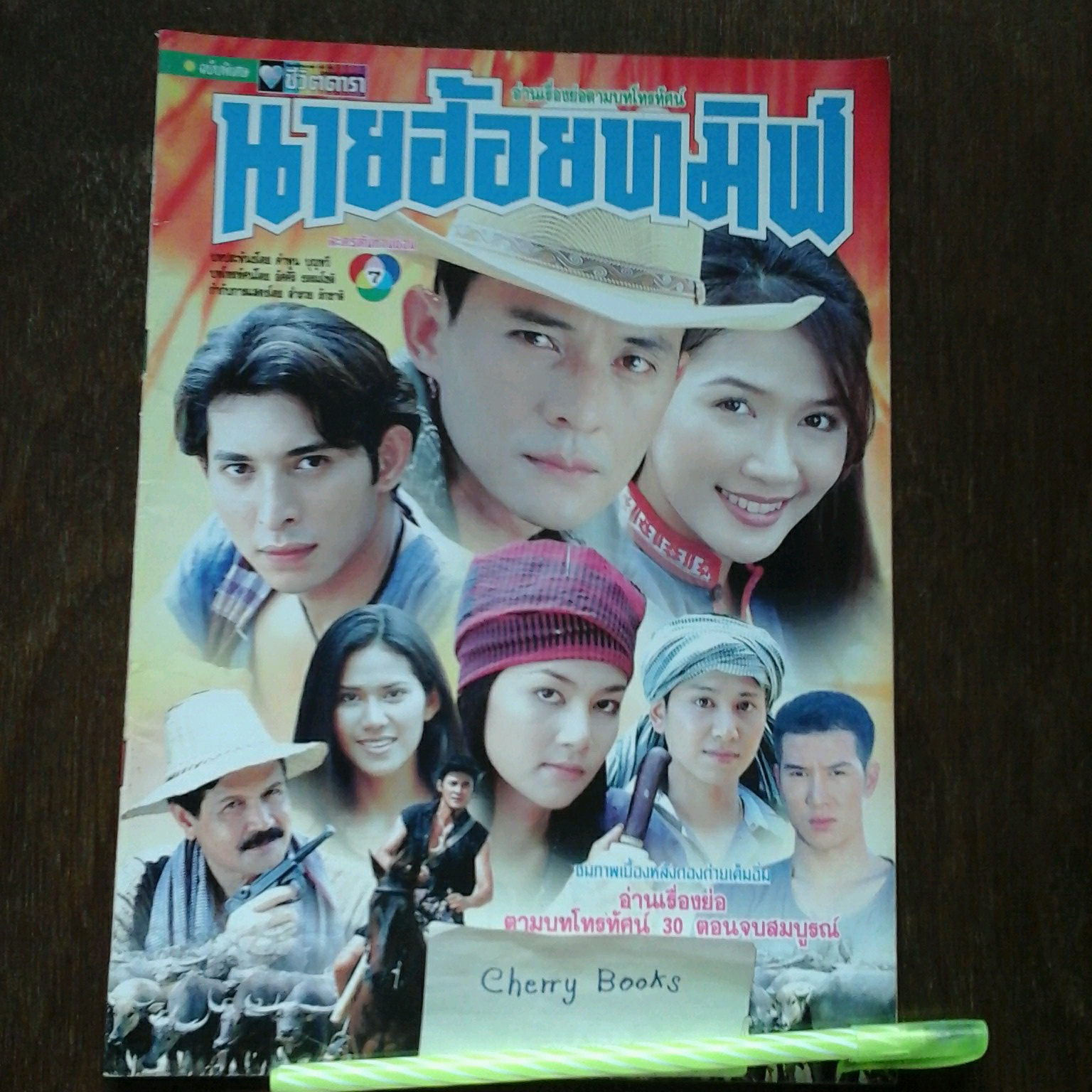 หนังสือเรื่องย่อละคร นายฮ้อยทมิฬ