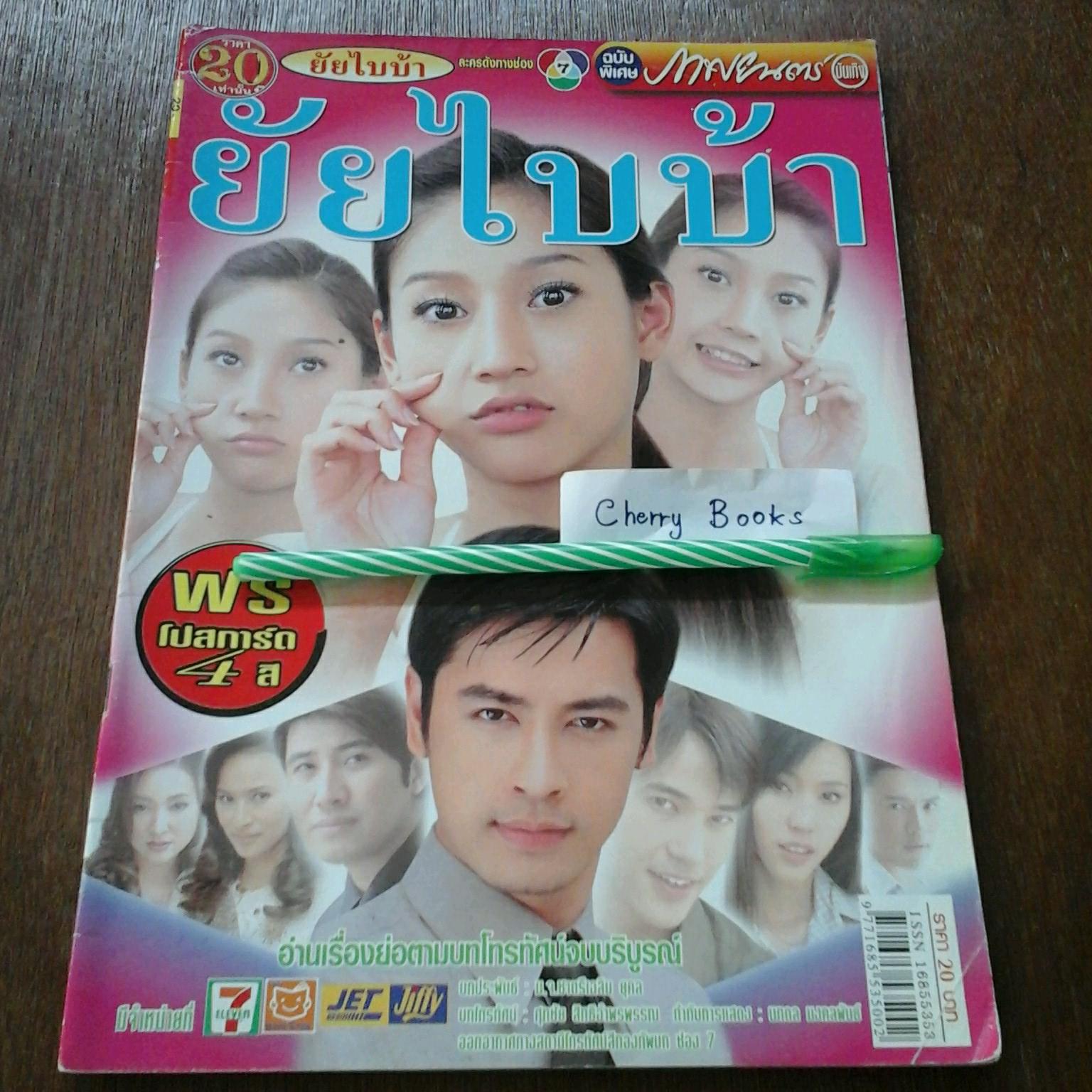 หนังสือเรื่องย่อละคร ยัยไบบ้า