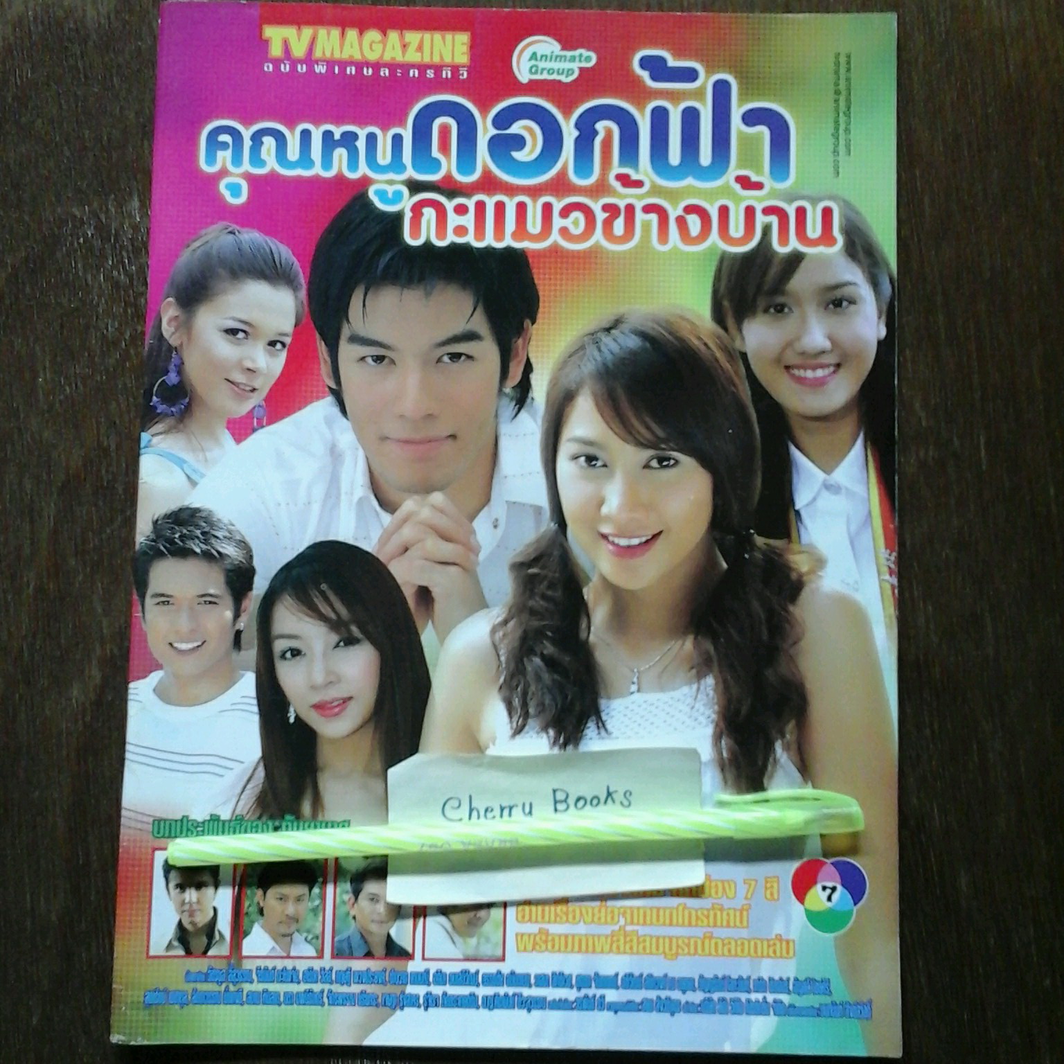 หนังสือเรื่องย่อละคร คุณหนูดอกฟ้ากะแมวข้างบ้าน