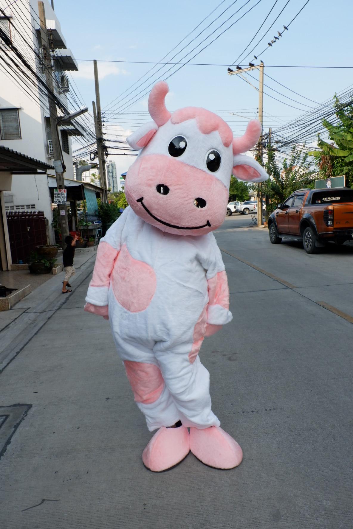 วัวนมชมพู