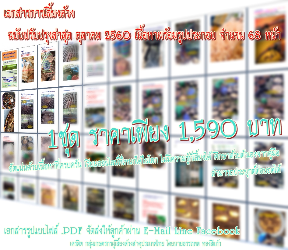 เอกสารการเลี้ยงด้วง ฉบับปรับปรุงล่าสุด พฤษภาคม 2561 เนื้อหาพร้อมรูปประกอบ จำนวน 68 หน้า