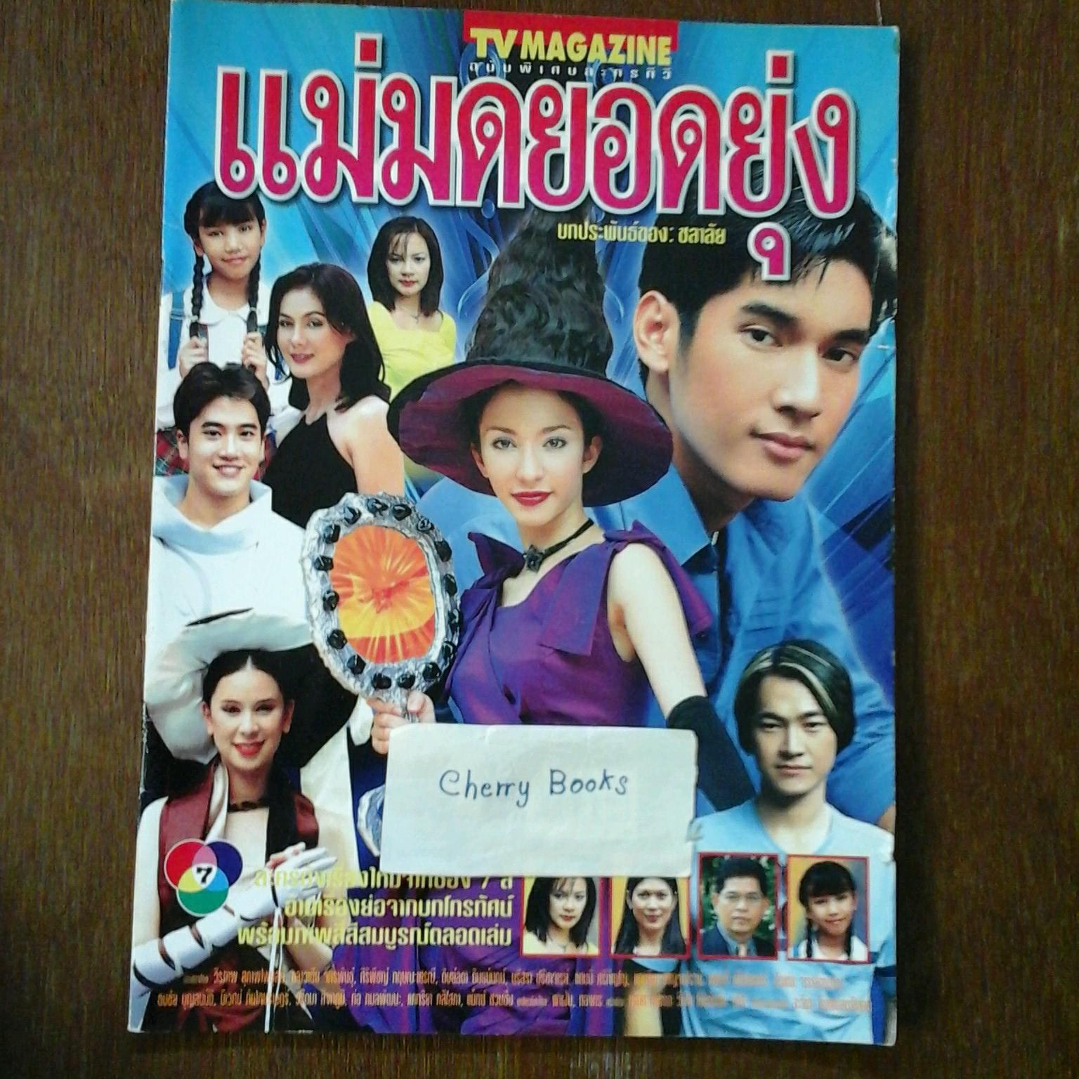 หนังสือเรื่องย่อละคร แม่มดยอดยุ่ง