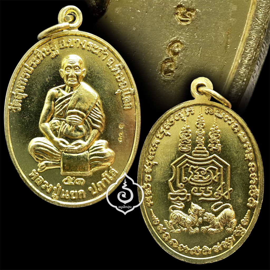 เหรียญสิงห์ป้อนเหยื่อ เนื้อทองเหลือง ปี51 หลวงปู่แขก วัดสุนทรประดิษฐ์ จ.พิษณุโลก (มีโค้ด)