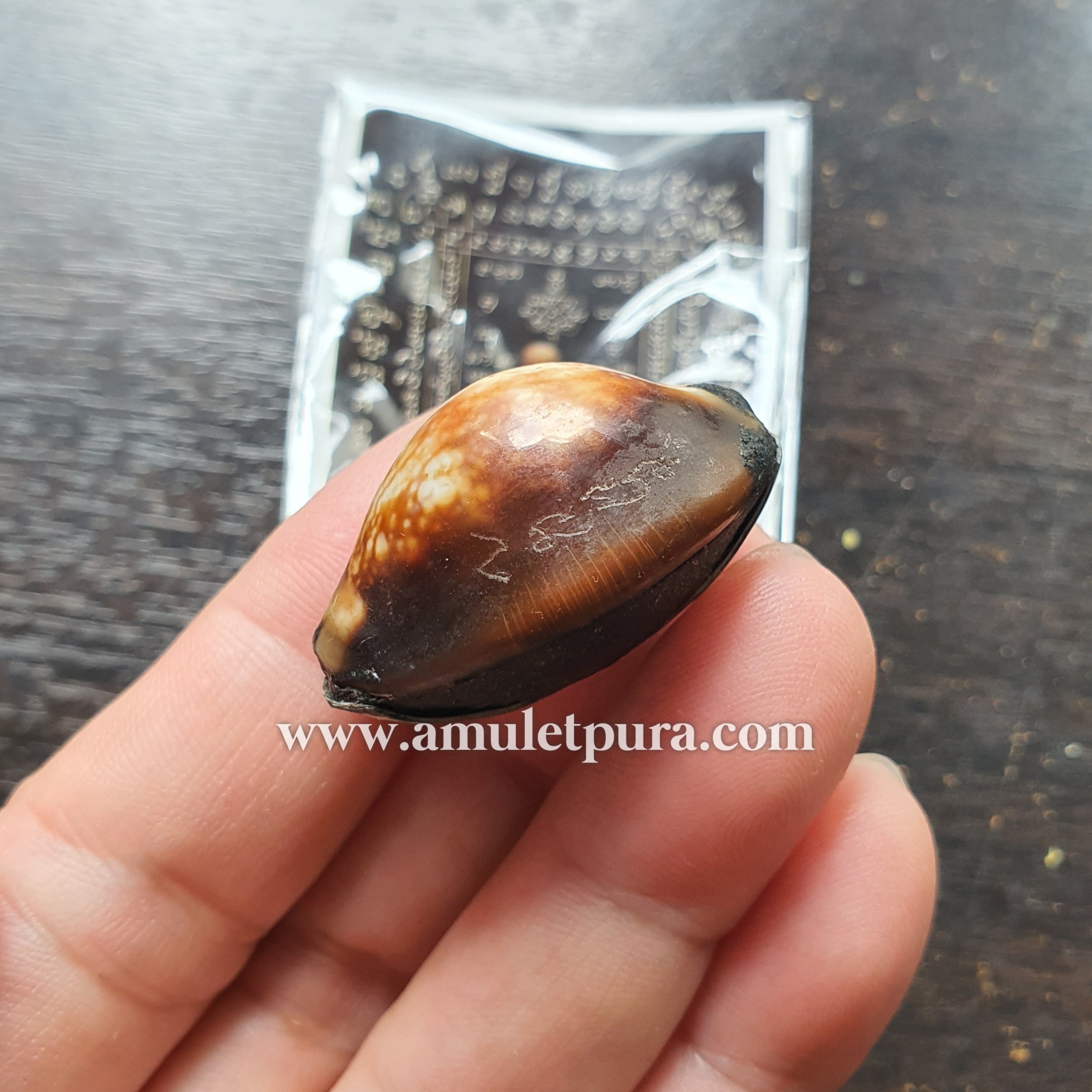 เบี้ยแก้พรายปรอท พิธี 9 ฤกษ์ 9 มงคล ครบ 200 ปี ปี54 วัดละหารไร่ จ.ระยอง จัดสร้างโดย มูลนิธิหลวงปู่ทิม (จารมืออุดผงพรายกุมารคลุกรักชันโรง หลวงปู่ทิม วัดละหารไร่ พร้อมแผ่นตะกั่ว จารมือ ตอกโค้ด หมายเลข 282) หลวงปู่บัว,หลวงปู่คำบุ,หลวงพ่อสิน ปลุกเสก