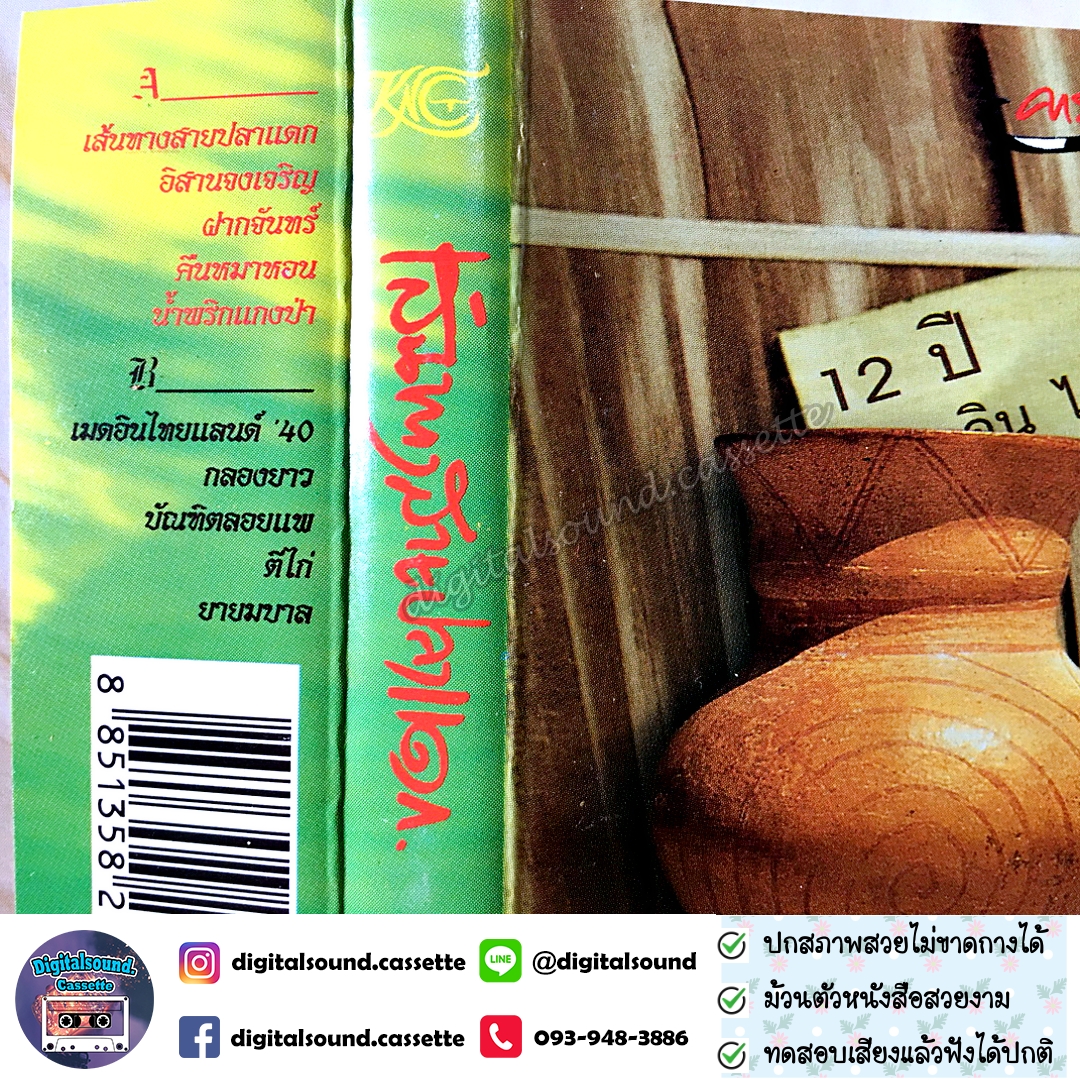 เทปเพลง เทปคาสเซ็ท คาราบาว อัลบั้ม เส้นทางสายปลาแดก