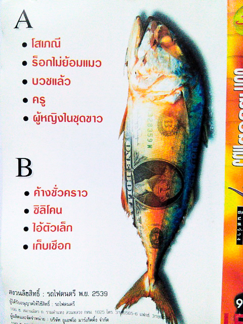 ขายม้วนเทป ฤทธิพร อินสว่าง อัลบั้ม ร็อคไม่ย้อมแมว