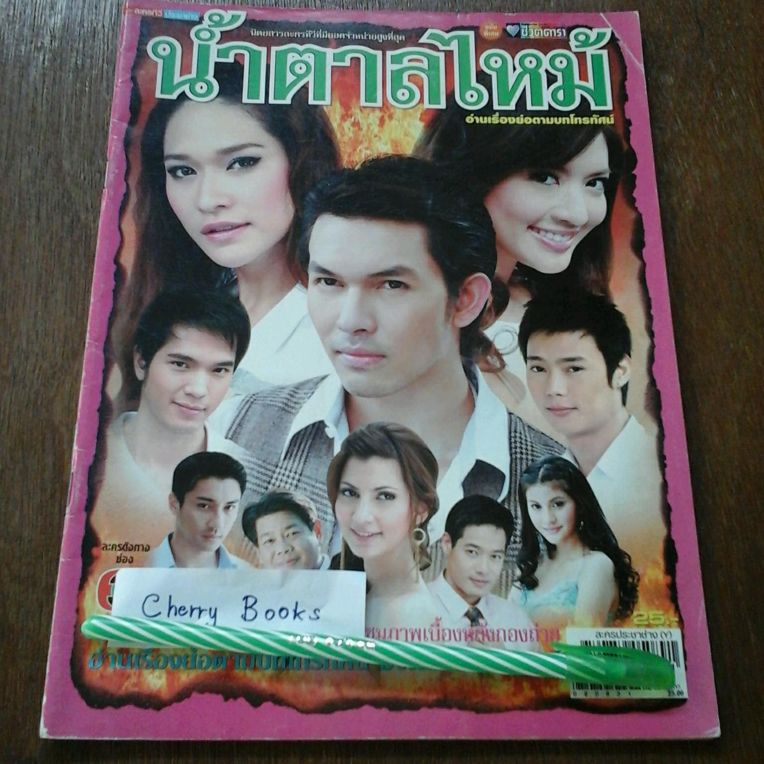 หนังสือเรื่องย่อละคร น้ำตาลไหม้
