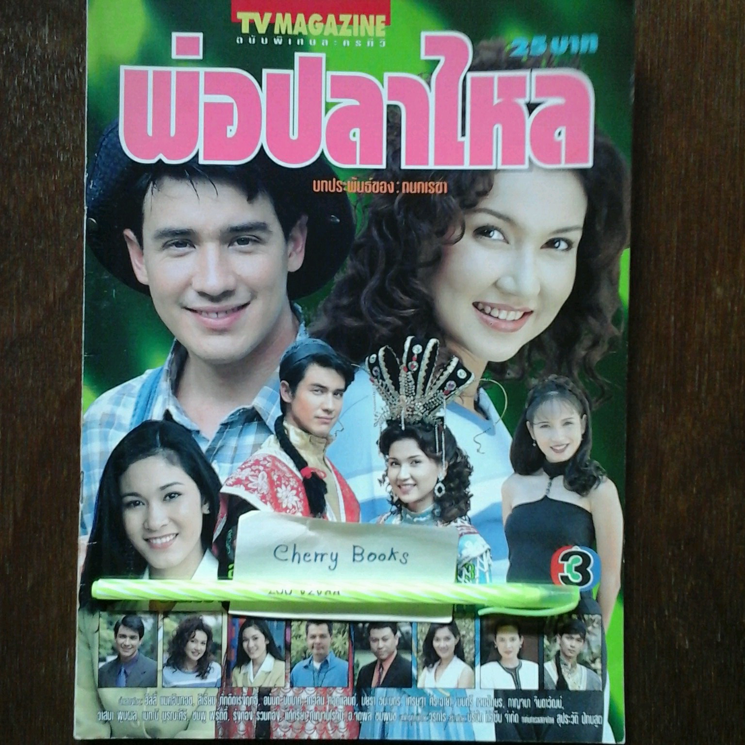 หนังสือเรื่องย่อละคร พ่อปลาไหล