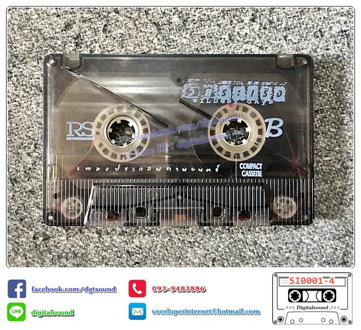 เทปคาสเซ็ท รวมศิลปิน อัลบั้ม วัยระเริง