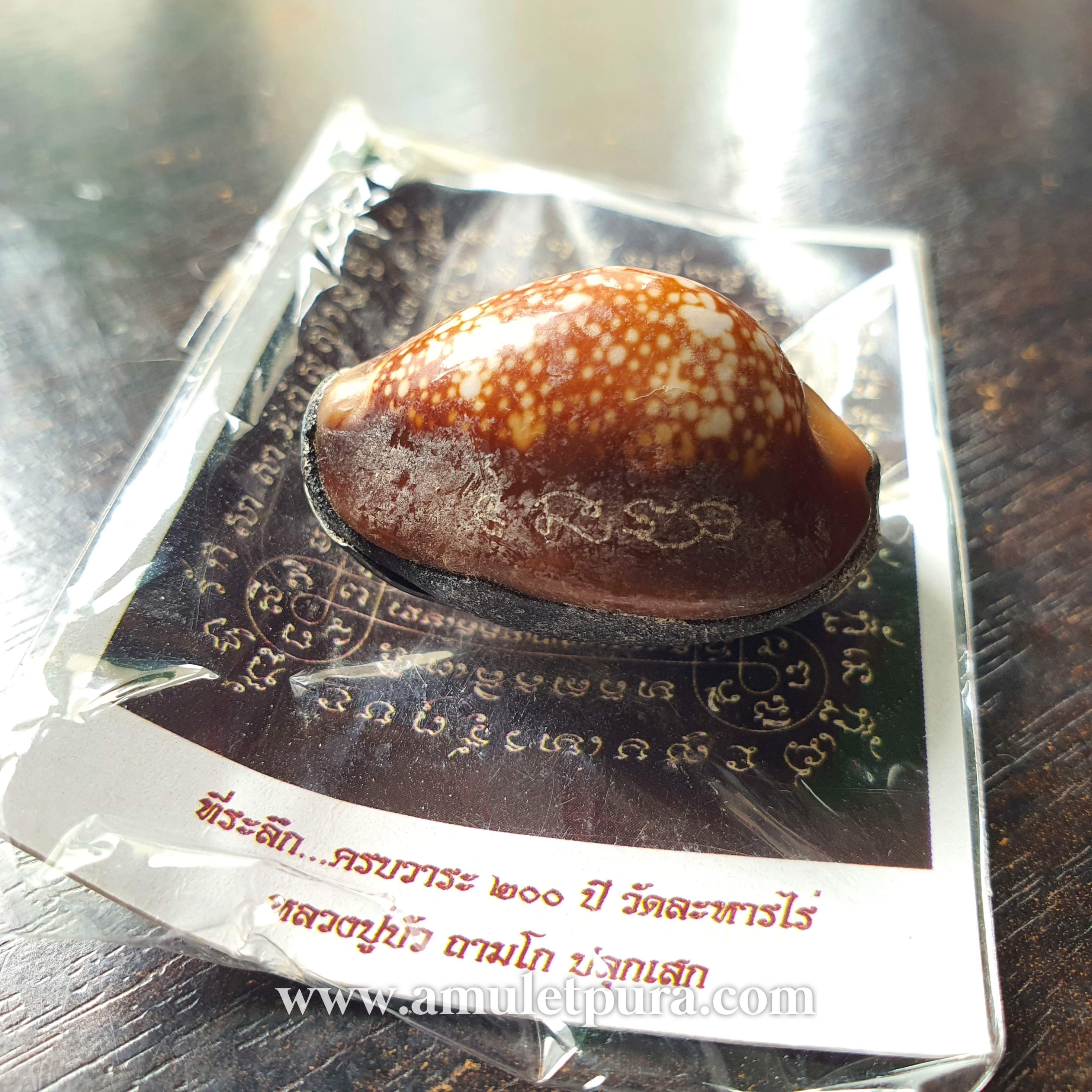 เบี้ยแก้พรายปรอท พิธี 9 ฤกษ์ 9 มงคล ครบ 200 ปี ปี54 วัดละหารไร่ จ.ระยอง จัดสร้างโดย มูลนิธิหลวงปู่ทิม (จารมืออุดผงพรายกุมารคลุกรักชันโรง หลวงปู่ทิม วัดละหารไร่ พร้อมแผ่นตะกั่ว จารมือ ตอกโค้ด หมายเลข 1177) หลวงปู่บัว,หลวงปู่คำบุ,หลวงพ่อสิน ปลุกเสก