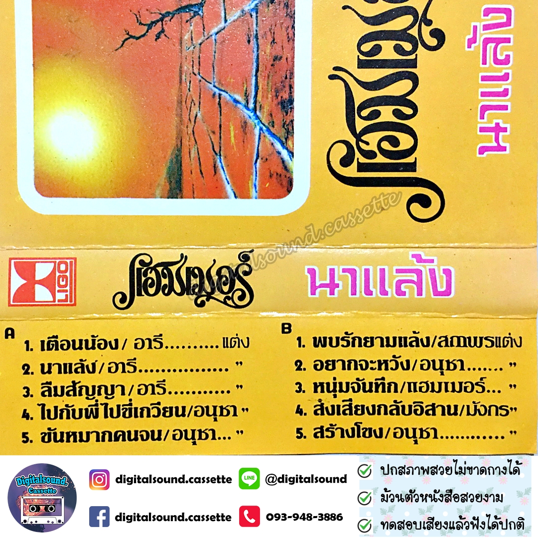 เทปคาสเซ็ท แฮมเมอร์ Hammer อัลบั้ม นาแล้ง