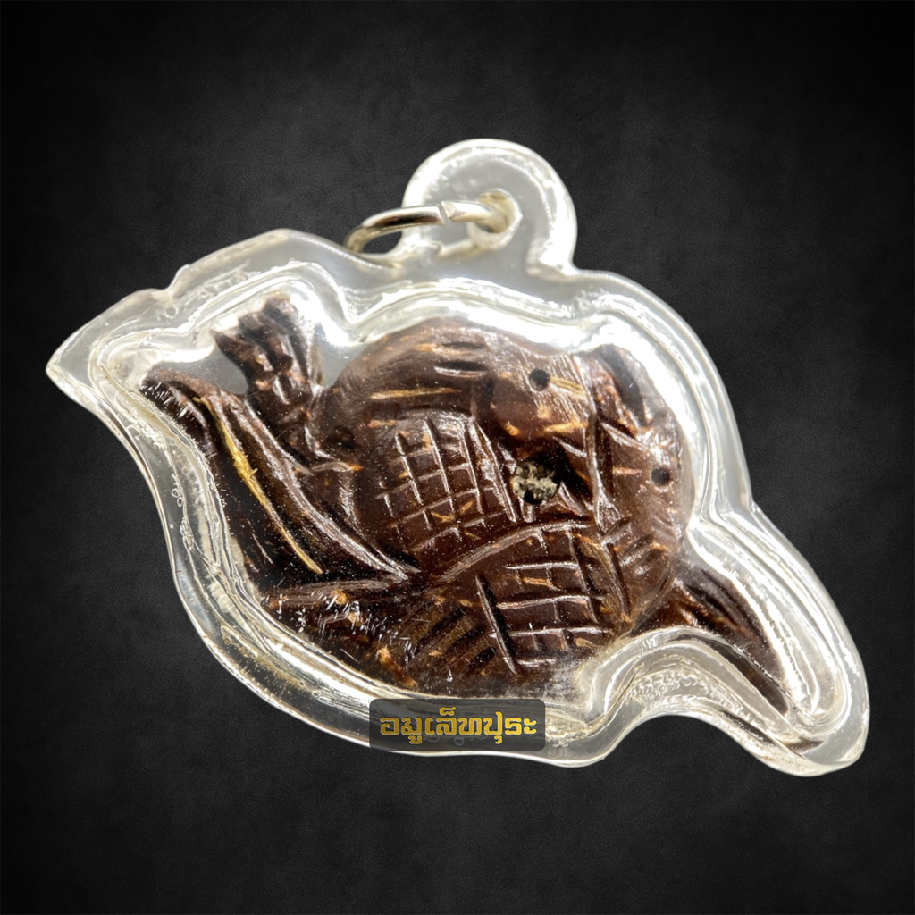 สาริกาเกี้ยว ปู่หมอนาค เพชรแสงแก้ว (สาริกาคู่ เนื้อไม้กาลาตาเดียว)