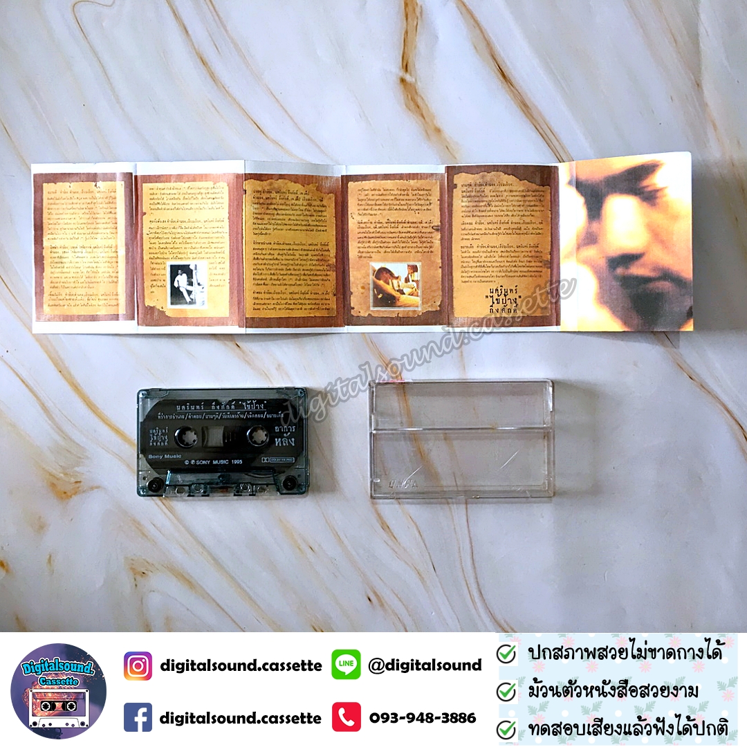 เทปคาสเซ็ท ป้าง นครินทร์ กิ่งศักดิ์ อัลบั้ม ไข้ป้าง