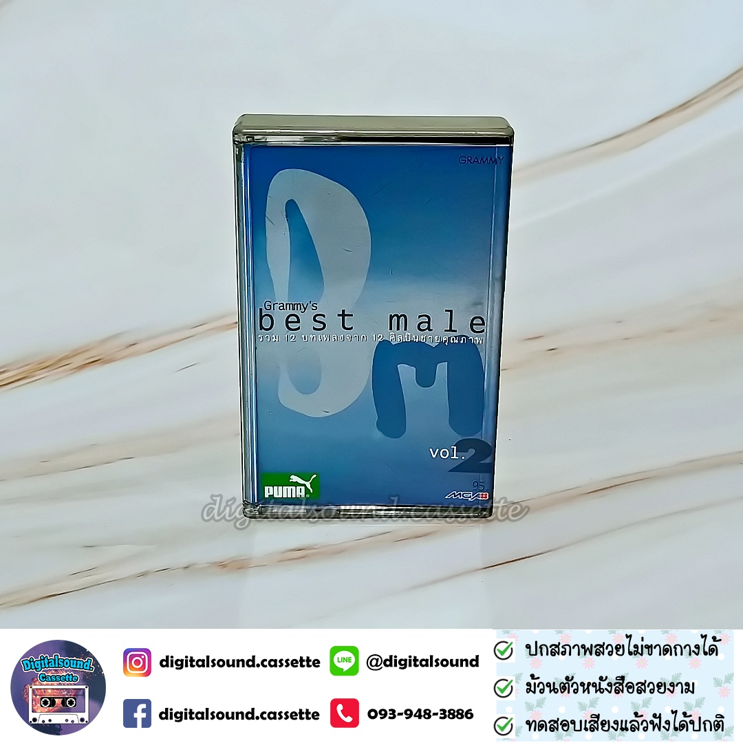 เทปคาสเซ็ท รวมศิลปิน GRAMMY อัลบั้ม BEST MALE VOL 2