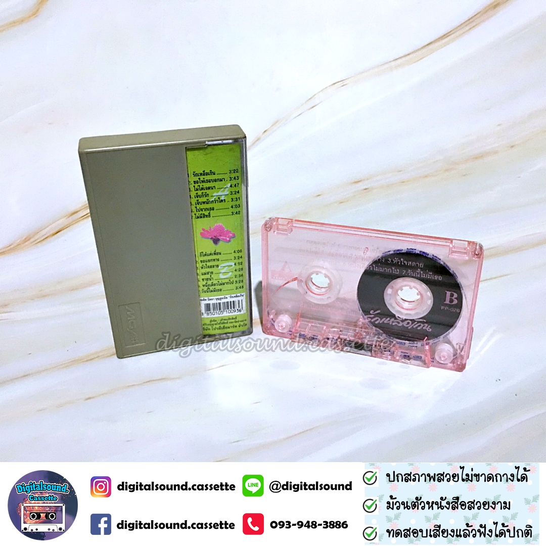 เทปคาสเซ็ท เทปเพลง นิตยา บุญสูงเนิน อัลบั้ม รวมฮิต นิตยา บุญสูงเนิน รักเหลือเกิน