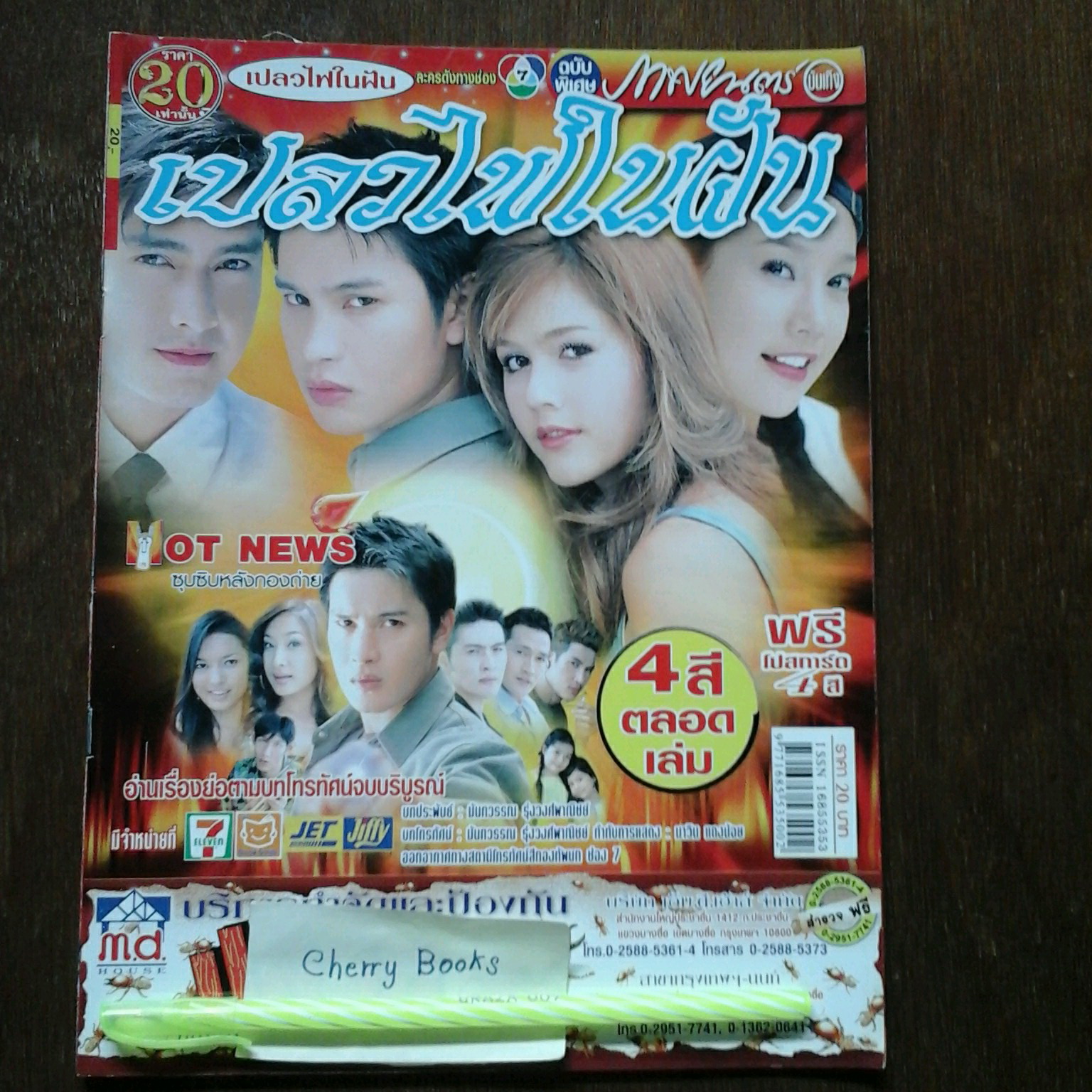 หนังสือเรื่องย่อละคร เปลวไฟในฝัน