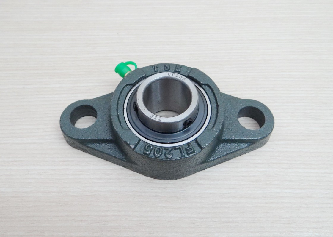 UCFL205 Flange Bearing Unit 25mm Cast Iron Housing Self-aligning