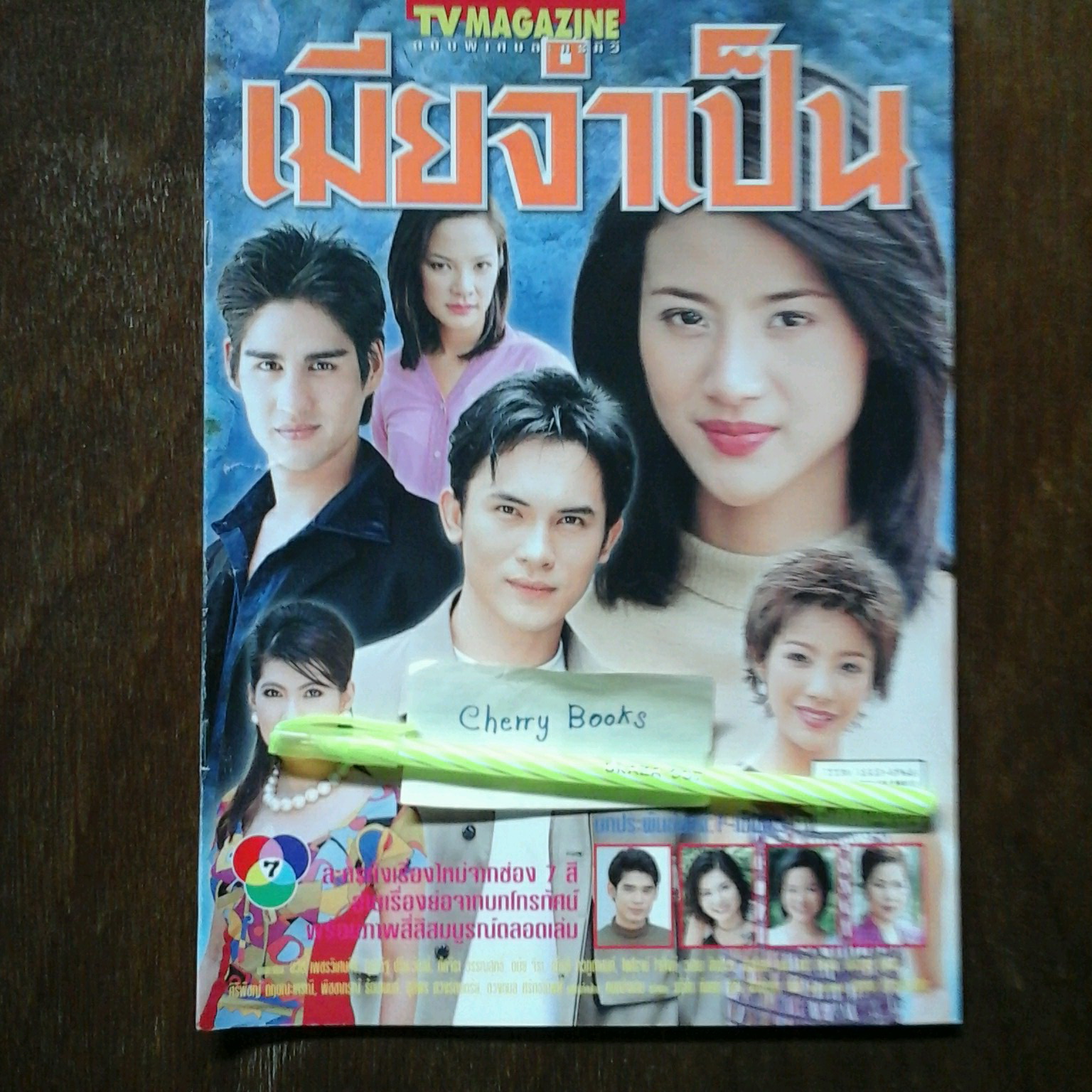 หนังสือเรื่องย่อละคร เมียจำเป็น