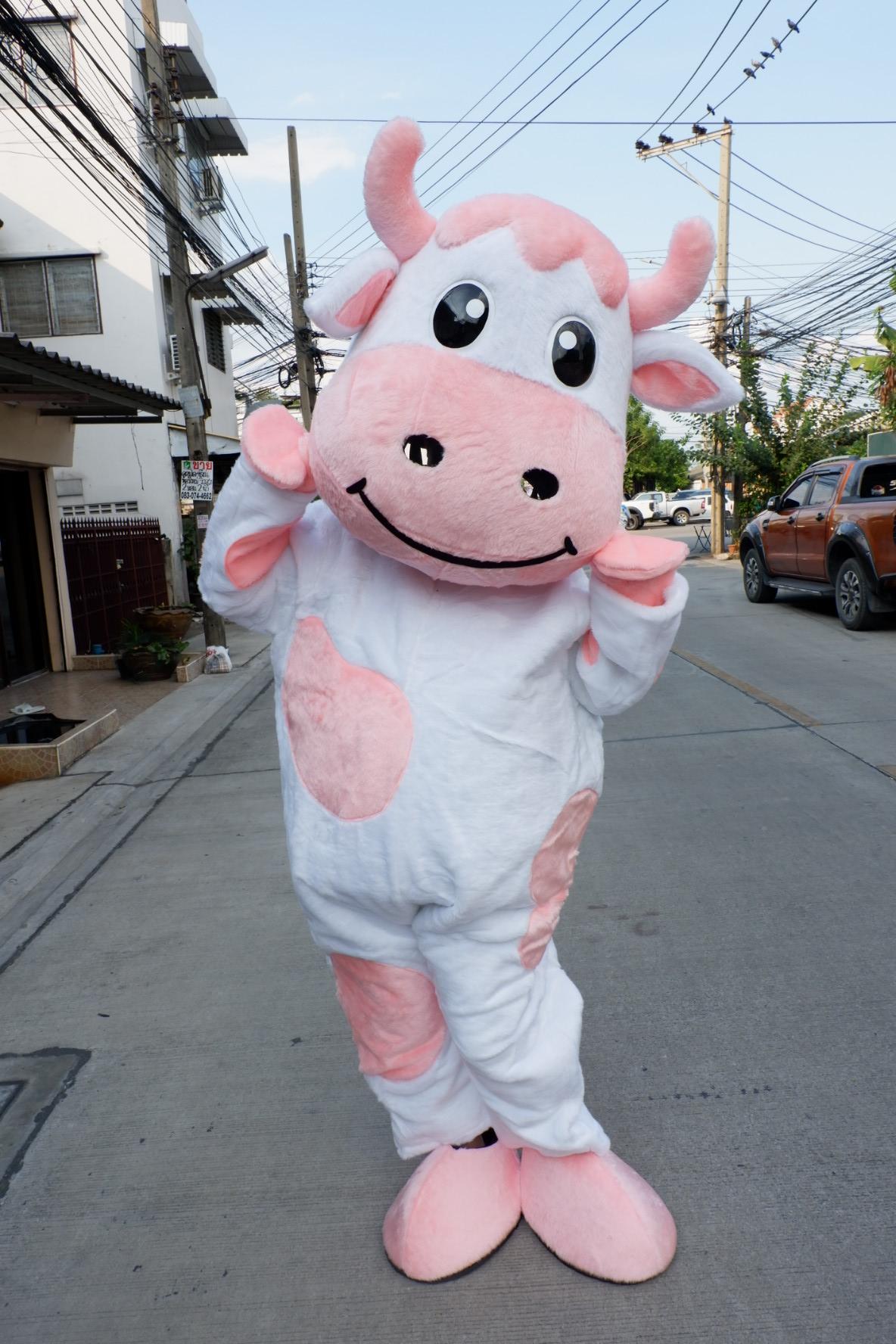 วัวนมชมพู