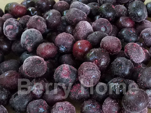 บลูเบอร์รี่แช่แข็ง (ลูกใหญ่) / Blueberry (1 กก.)