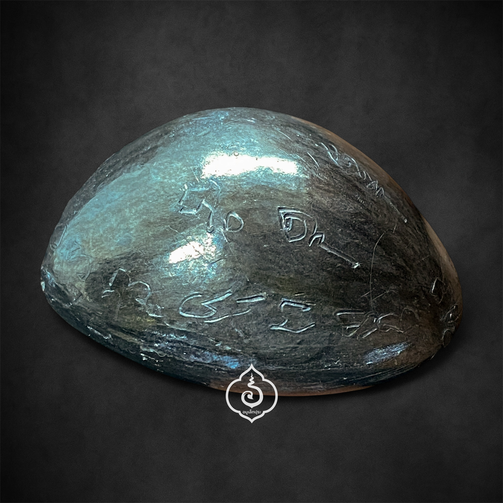 เบี้ยแก้ แบบเปลือยผิวขัดเงาไม่มีตะเข็บ หลวงปู่เจือ วัดกลางบางแก้ว (มีจารทั้งด้านบนและด้านล่าง) หายาก สภาพสวยมาก