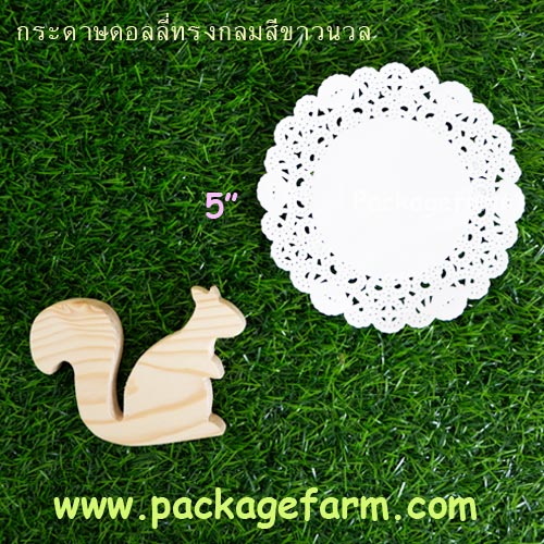 กระดาษดอลลี่